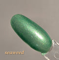 Seaweed Nail Polish
